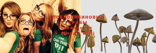 тгк Армянск